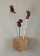 Seedling coat hanger with maple base