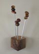 Seedling coat hanger with walnut base